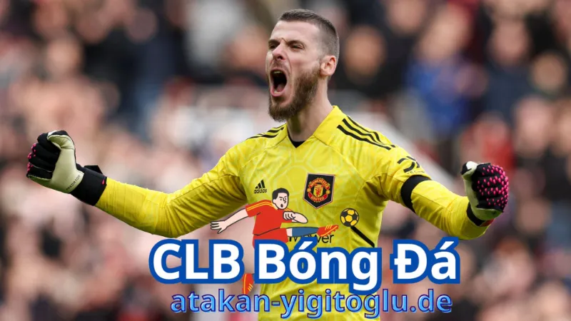 David De Gea đã thay đổi như thế nào