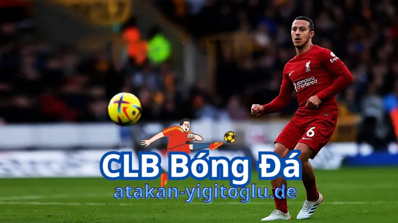 Thông tin về Thiago Alcântara