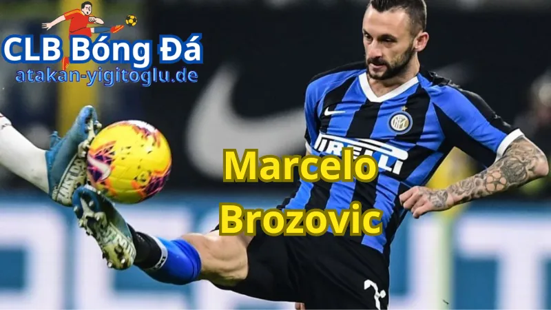 Đội bóng chủ quản của Marcelo Brozovic