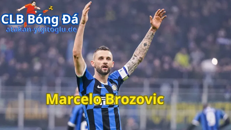 Những điều cần biết về Marcelo Brozovic