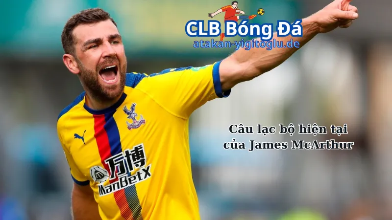 Câu lạc bộ hiện tại của James McArthur 