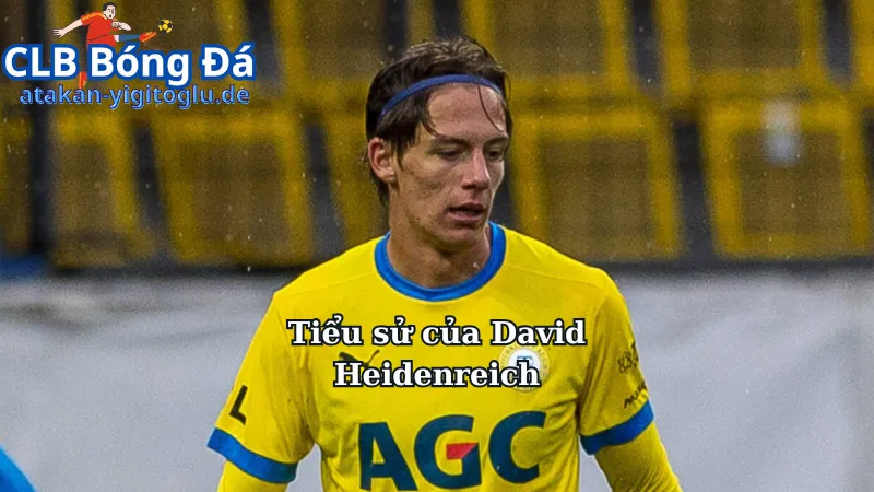 Tiểu sử của David Heidenreich